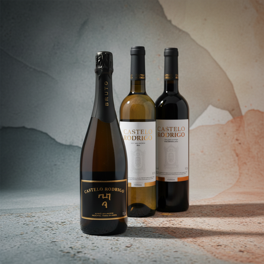 Trio da Beira Interior - Fundo Dinâmico