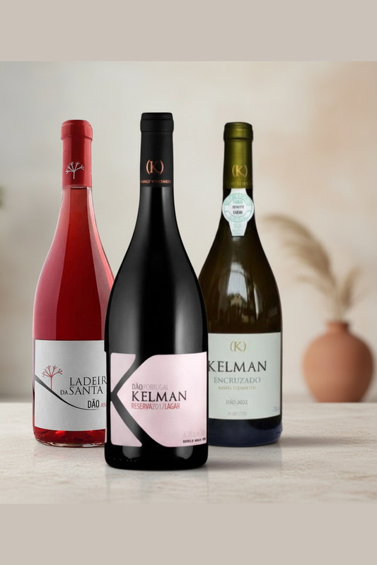 Trio de vinhos bundle